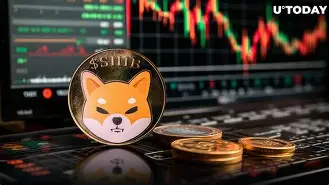 SHIB创下年内新高，上扬幅高达34.08%，还能追吗？